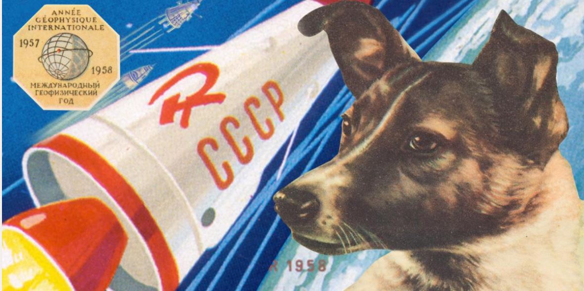 REMEMBERING LAIKA, THE FIRST LIVING BEING WENT TO SPACE